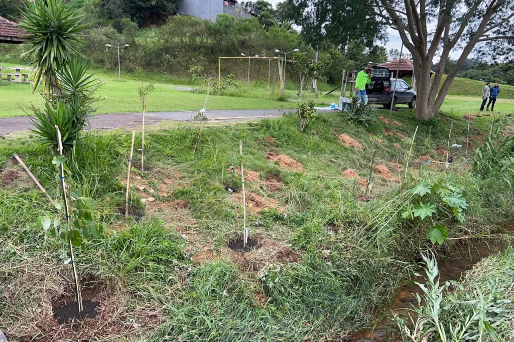 A Sanepar finalizou na quinta-feira (6) os serviços socioambientais em Campo Magro, na Região Metropolitana de Curitiba, com a inauguração do Jardim Água e Mel, na Praça Gabriel Antero. Os investimentos nessas ações foram em torno de R$ 300 mil.

Uma das atividades mais relevantes foi a recuperação da mata ciliar do Rio Custódio, que teve a supressão de vegetação exótica invasora no trecho do Parque Municipal, a limpeza do lixo do entorno e o plantio de 1.500 mudas de espécies nativas e de plantas que são importantes para a existência das abelhas.

Cinco escolas de Campo Magro também receberam caixas de colmeias com abelhas nativas, em instalações didáticas e apropriadas tanto para atividades educativas quanto para a vida desses animais. “As atividades desempenhadas pelas abelhas estão ligadas à conservação da biodiversidade e, também, à qualidade da água”, afirma a assistente social da Sanepar, Verena Mehler Verena.

Campo Magro tem grande importância em relação à produção de água, visto que o Rio Custódio é um afluente significativo do Passaúna, com influência na bacia hidrográfica do Rio Verde. Além disso, parte do território de Campo Magro está sobre o Aquífero Karst, outra importante fonte de água para Curitiba e Região Metropolitana.

Artistas de vários estados fazem grafitagem em muro de reservatórios da Sanepar em Colombo

Sanepar capacita agentes de saúde de Iretama sobre importância do saneamento
Investimentos da Sanepar em estações de esgoto vão ultrapassar R$ 2 bilhões em 2024

Os serviços de educação socioambientais estão atrelados às obras de ampliação do sistema de abastecimento de água, que custarão aproximadamente R$ 45 milhões para a Sanepar, e esses serviços fazem parte do Programa Saneamento para Todos e do Projeto Técnico de Trabalho Socioambiental (PTS) da Sanepar.

Entre as ações socioeducativas, também foram feitas cerca de 5 mil visitas domiciliares,  oito visitas técnicas a áreas da Sanepar, formação de agentes socioambientais. Houve distribuição de kits de meliponicultura, jardinagem e sementes para pastagem apícula, além de atividades com estudantes e capacitações temáticas sobre as abelhas, plantio e manutenção de árvores e flores, criação de minhocas e manutenção de jardins.

“O trabalho socioeducativo da Sanepar busca incentivar a conscientização ambiental e a mobilização comunitária para a discussão e a reflexão sobre questões ambientais complexas e imprescindíveis”, acrescenta Verena.