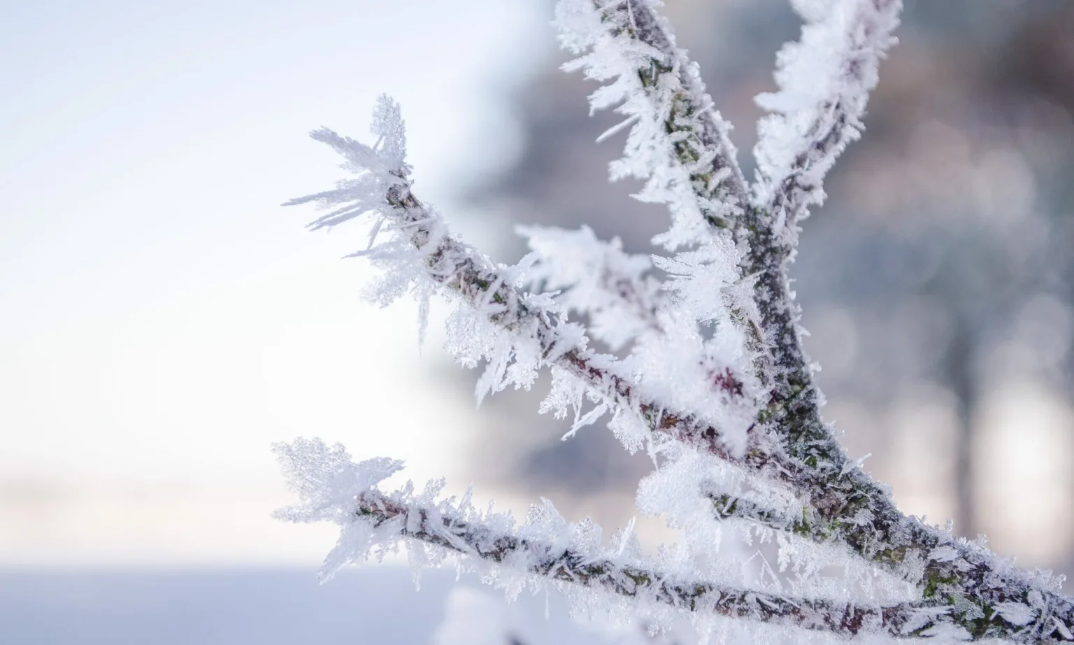Região Sul terá onda frio e fortes geadas nos próximos dias