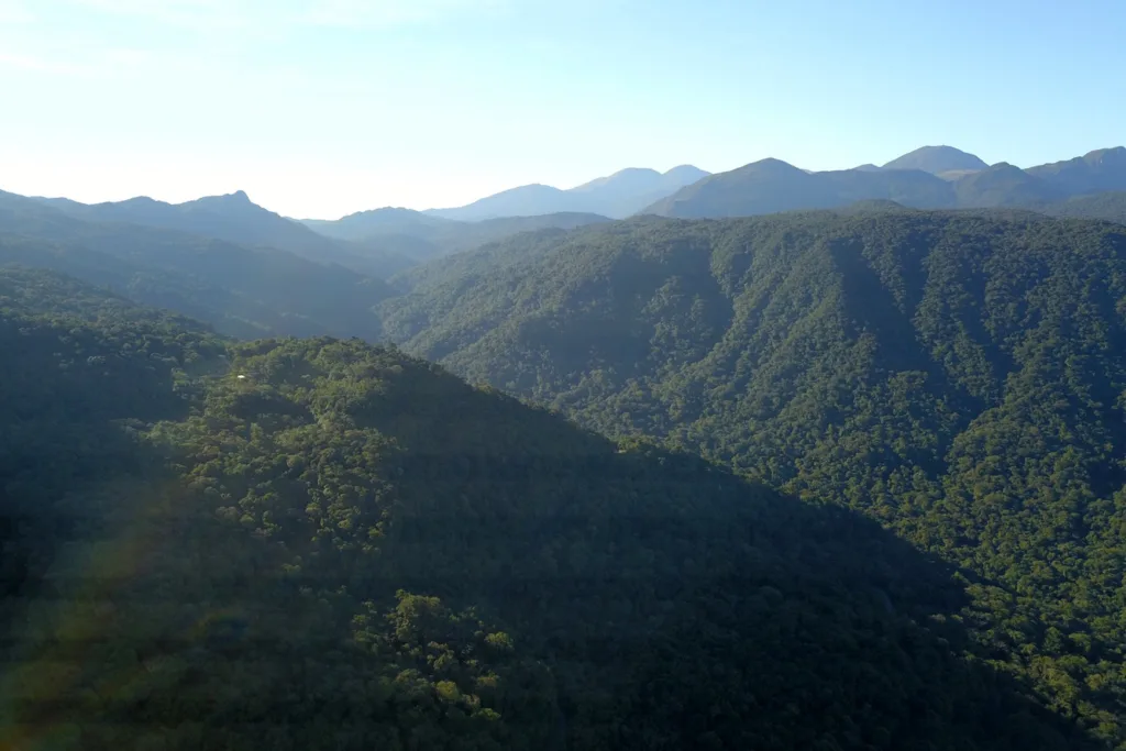 Apoio do Estado: startup de Maringá cria plataforma para compensar pegada de carbono