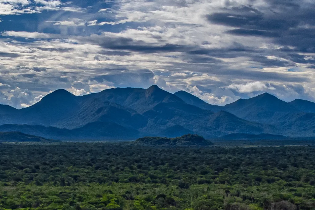 Apoio do Estado: startup de Maringá cria plataforma para compensar pegada de carbono