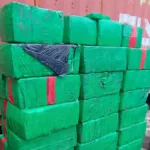 PCPR apreende 859 quilos de maconha escondida em um veículo em Medianeira Foto: PCPR