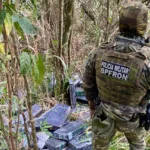 Combate ao tráfico: apreensões de maconha e cocaína crescem no Paraná no 1º semestre