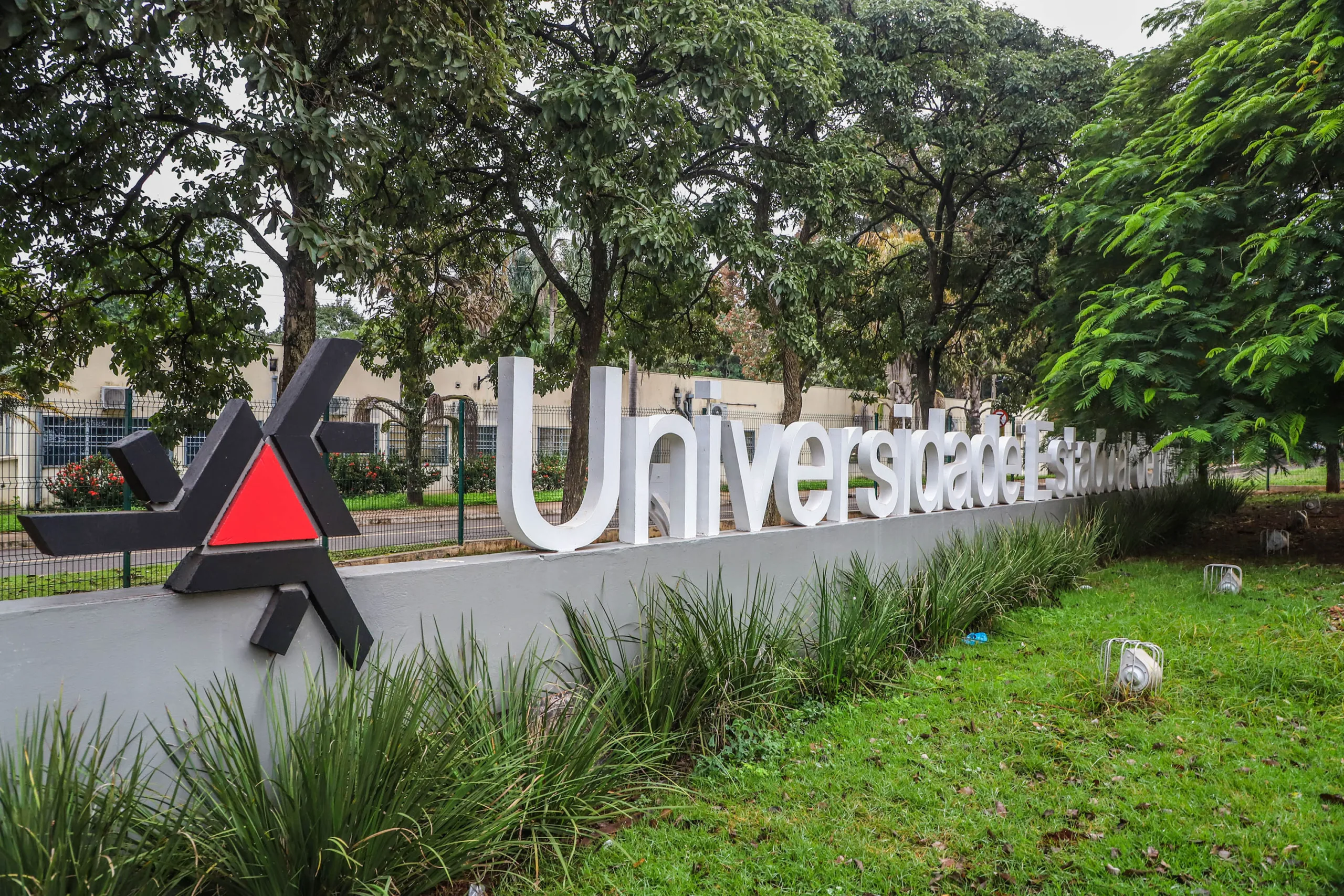 Universidade Estadual de Maringá (UEM)