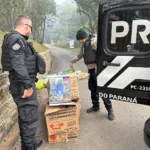 PCPR prende quatro por soltura de balões que chegavam a custar mais de R$ 20 mil Foto: PCPR