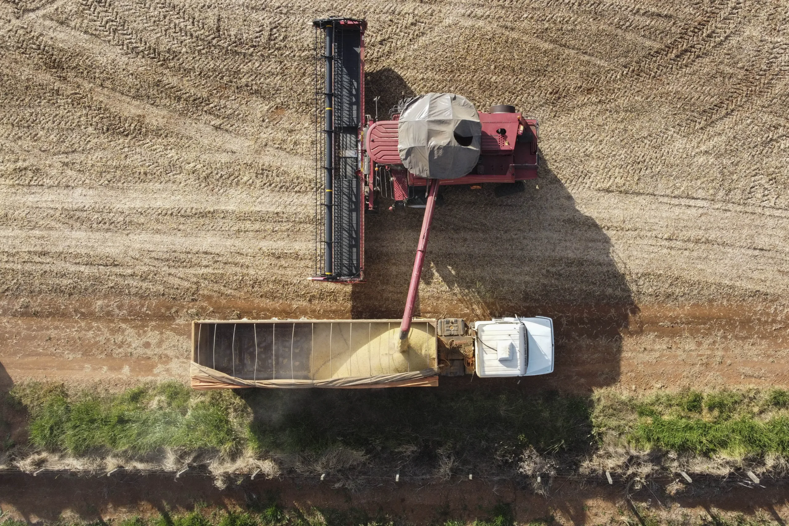 35 cidades do Paraná têm Valor Bruto da Produção Agropecuária superior a R$ 1 bilhão