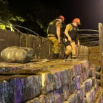 Com 326 toneladas, Paraná lidera apreensão de drogas no Brasil em 2024