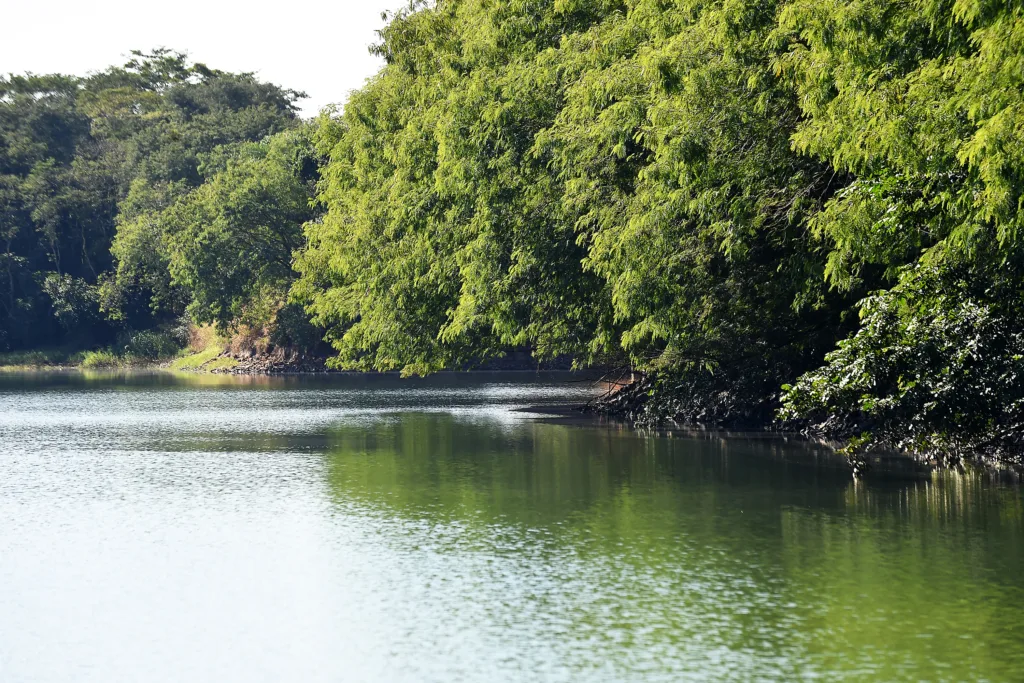 Resolução estabelece novas diretrizes e critérios para o enfrentamento da estiagem