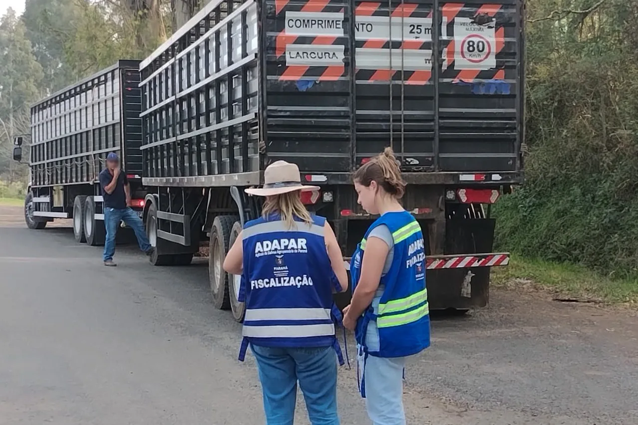 Receita identifica irregularidades em mercadorias no valor R$ 650 mil