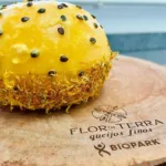 Queijo paranaense produzido na região Oeste está entre os nove melhores do mundo Foto DivulgaçãoBiopark