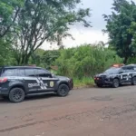 PCPR desarticula esquema de lavagem de capitais ligados ao tráfico de drogas em Londrina Foto: PCPR