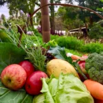 Segurança Alimentar