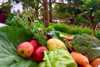 Segurança Alimentar
