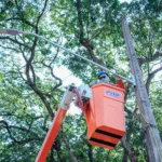 Os protocolos, que até então eram registrados na Ouvidoria Municipal, foram encaminhados ao Consórcio para atendimento (Crédito: Rafael Macri / PMM)