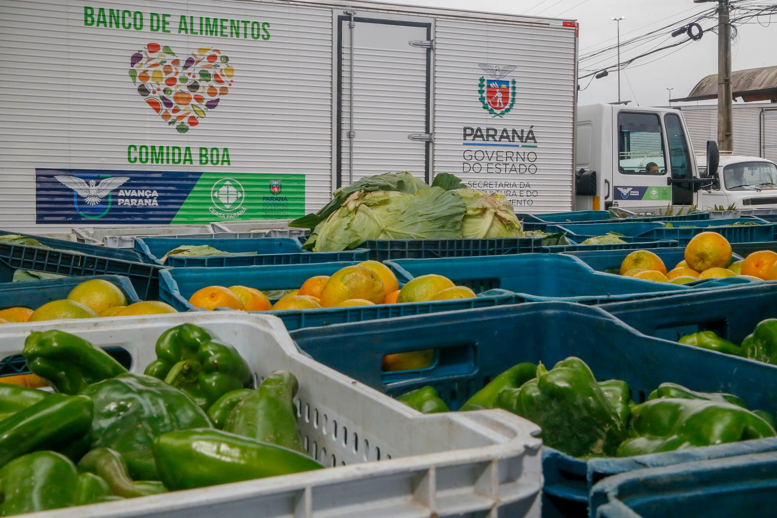 Segurança alimentar
