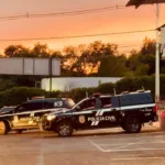 PCPR, PMPR e GM prendem oito durante operação contra o tráfico de drogas em Toledo Foto: PCPR