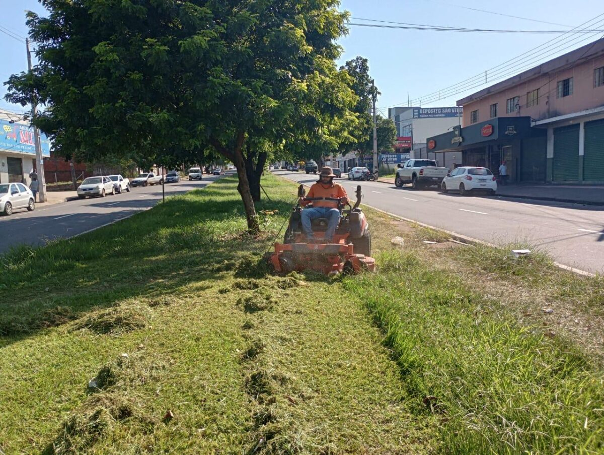 Prefeitura de Maringá realiza ações de limpeza e poda de árvores nos bairros e no Cemitério Municipal 4 Prefeitura de Maringá realiza ações de limpeza e poda de árvores nos bairros e no Cemitério Municipal