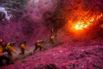 Los Angeles tenta conter incêndios florestais antes da volta de ventos fortes; pelo menos 24 pessoas morreram até agora