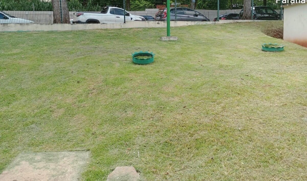 Prefeitura de Maringá realiza ações de limpeza e poda de árvores nos bairros e no Cemitério Municipal 3 Prefeitura de Maringá realiza ações de limpeza e poda de árvores nos bairros e no Cemitério Municipal