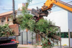 Os serviços garantem uma cidade limpa e bem cuidada para os maringaenses (Crédito: Rafael Macri / PMM)