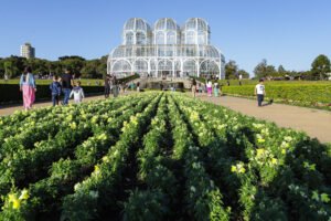 Turistas estrangeiros injetaram R$ 5,8 bilhões na economia paranaense em 2024
