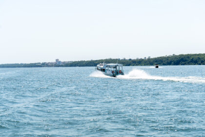 Águas cristalinas e biodiversidade do Rio Paraná