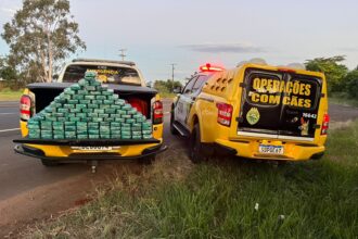 PMPR e Polícia Federal apreendem 104 quilos de pasta base de cocaína em Cruzeiro do Oeste