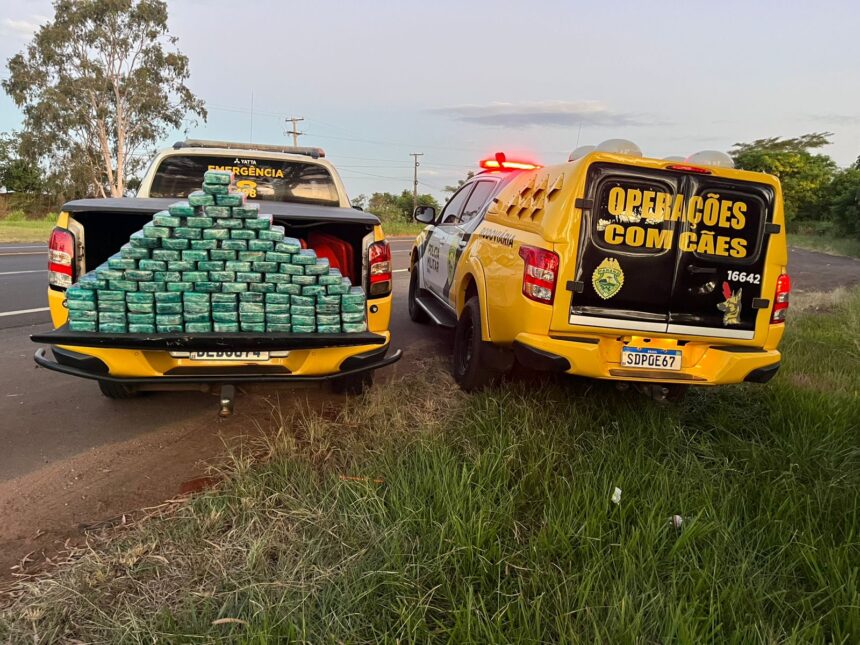 PMPR e Polícia Federal apreendem 104 quilos de pasta base de cocaína em Cruzeiro do Oeste