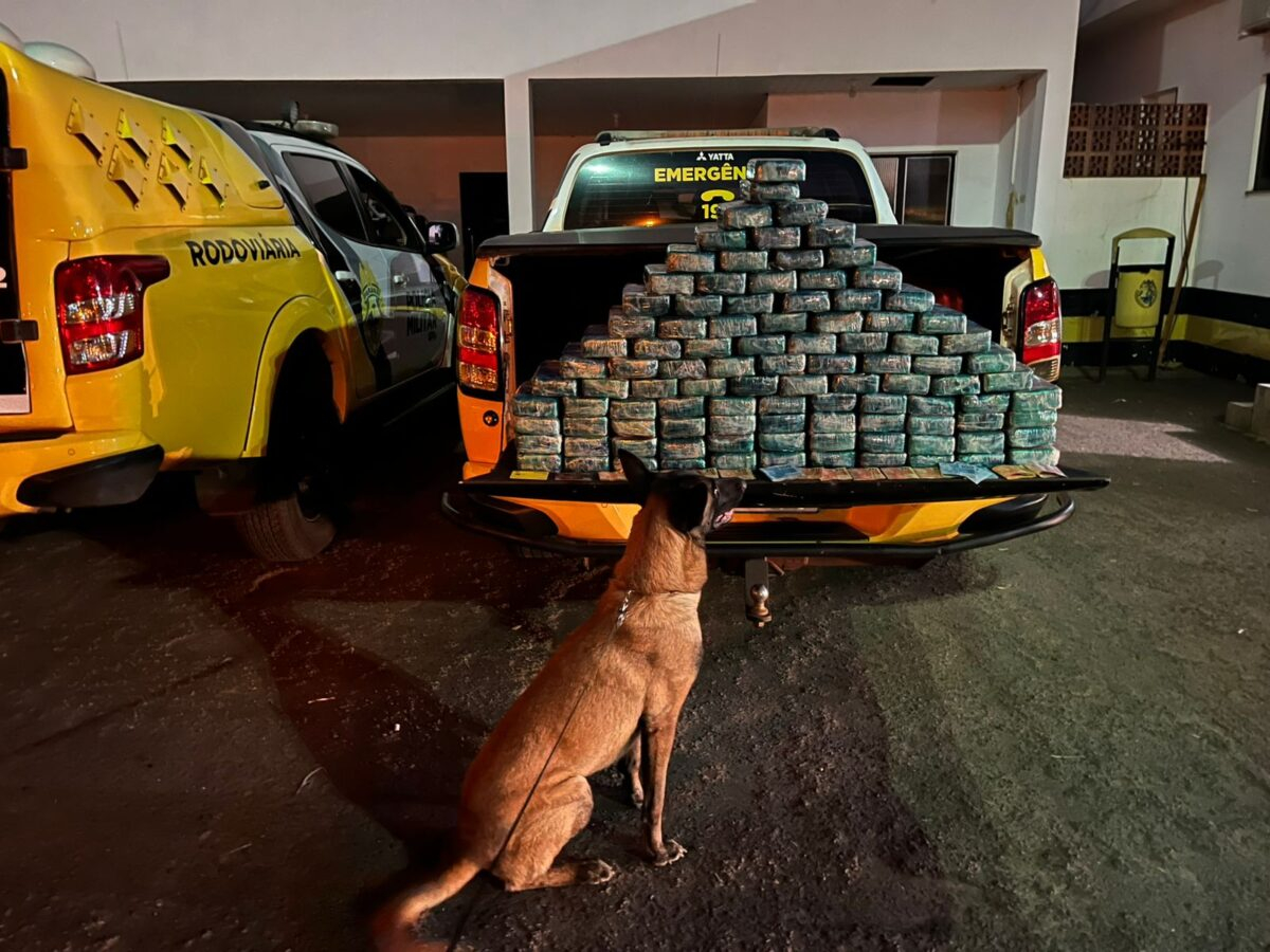 Polícia Rodoviária e Polícia Federal de Maringá apreendem 104 quilos de pasta base de cocaína em Cruzeiro do Oeste 4 Polícia Rodoviária e Polícia Federal de Maringá apreendem 104 quilos de pasta base de cocaína em Cruzeiro do Oeste