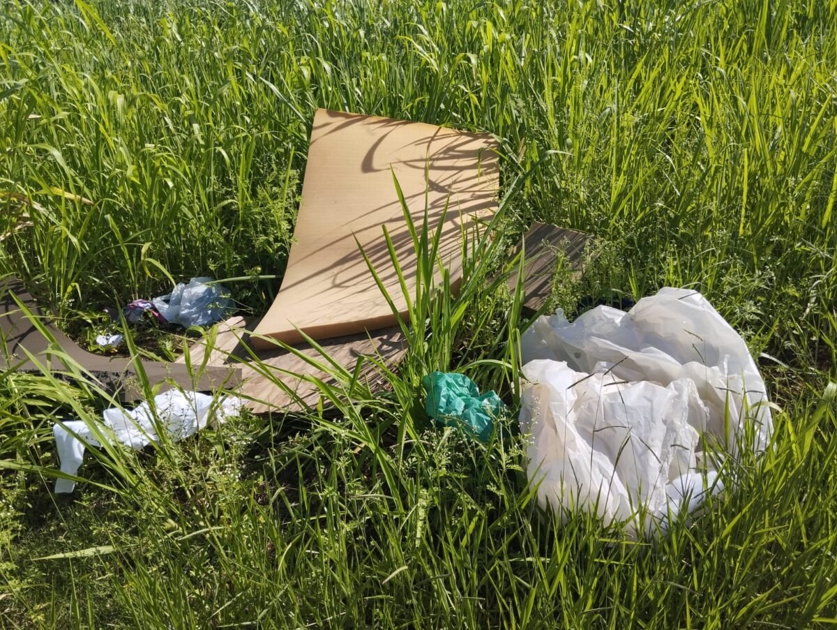 Lixo e falta de educação: locais voltam a ser alvo de descarte irregular poucas horas após limpeza em ação de controle da dengue