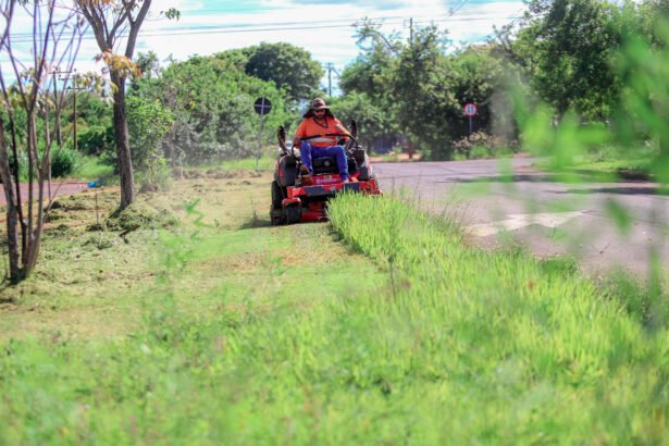 Serviços de roçada em Maringá
