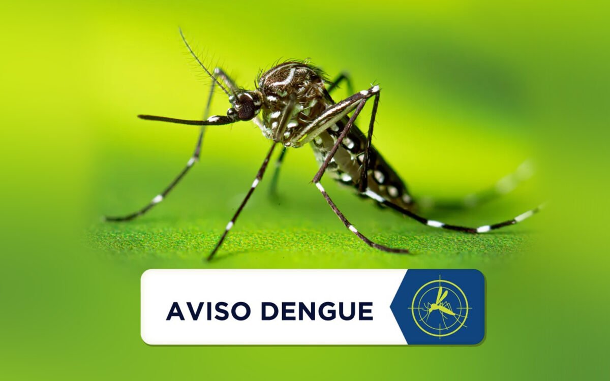 Aviso Dengue