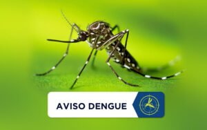 Aviso Dengue