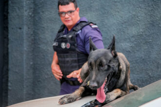 Cão Tyson, novo membro da Guarda Civil Municipal (Crédito: Rafael Macri/ PMM)