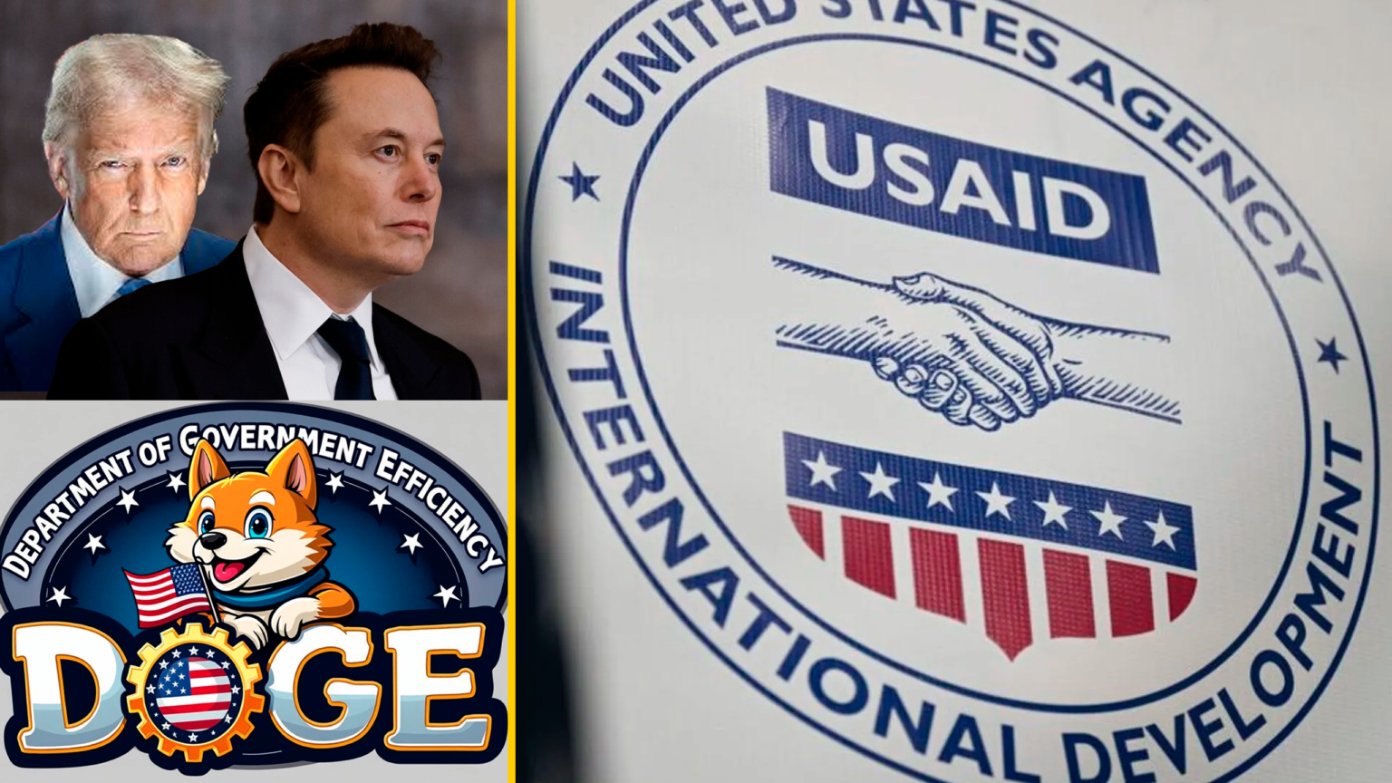Trump_Musk_Doge_USAID