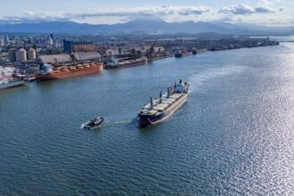 Porto de Paranaguá é o maior canal de exportação de óleo vegetal e frango congelado do Brasil