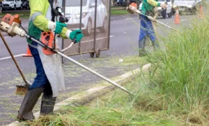 Roçada nos canteiros centrais