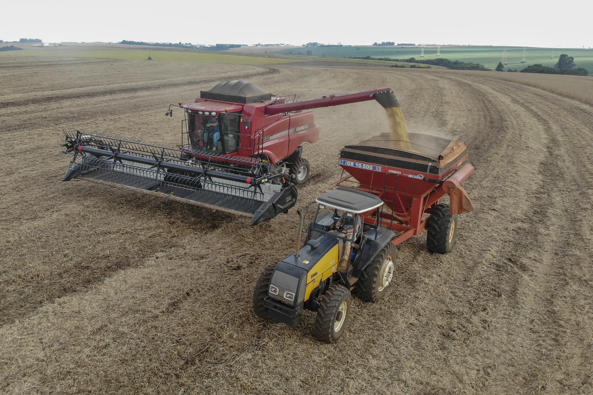 1ª safra de milho pode ter resultado histórico no Paraná; 2ª safra tem chance de recorde