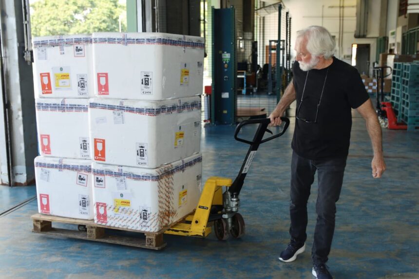 Paraná recebe 332 mil vacinas contra gripe e se prepara para início da campanha