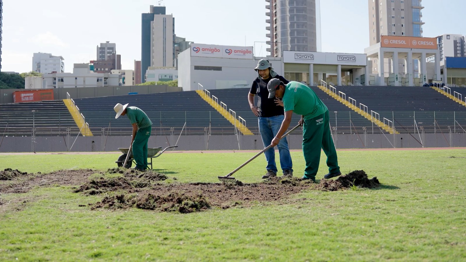 Vídeo: Prefeitura de Maringá inicia manutenção do gramado do Estádio Willie Davids