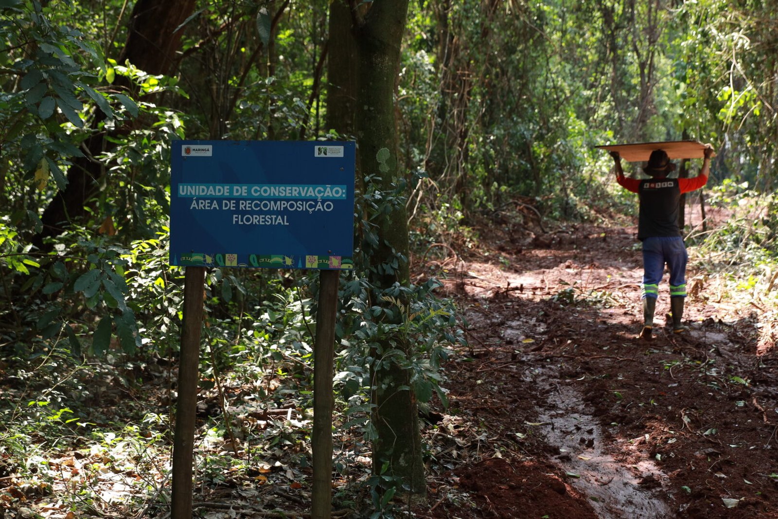 Prefeitura realiza audiência pública sobre planos de manejo de parques municipais nesta sexta, 14