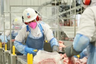 Exportações de carne suína, frangos e automóveis do Paraná saltam mais de 20% em 2025