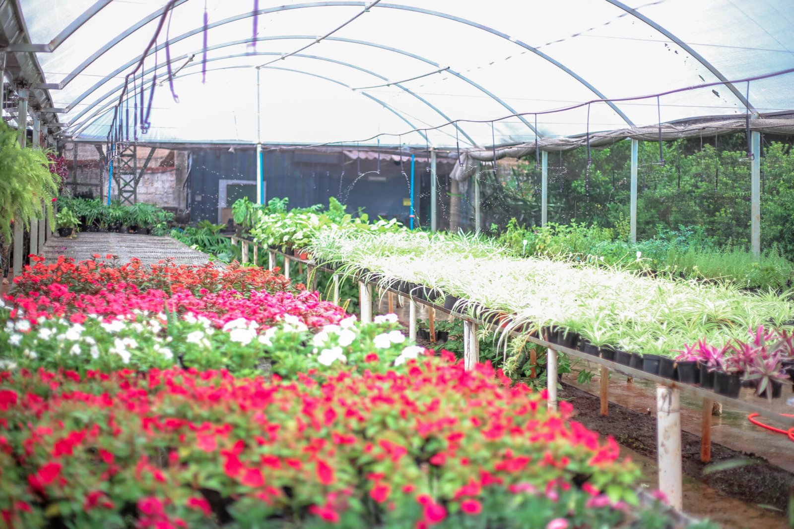 Os visitantes poderão aproveitar descontos de até 20% e haverá brindes para compras acima de R$ 50. (Crédito: Arquivo / PMM)