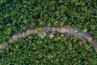 Maringá lidera em vias com arborização e rampas para cadeirantes, mostra IBGE