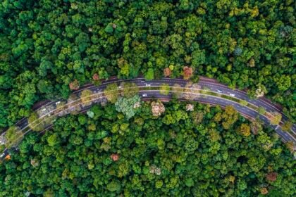 Maringá lidera em vias com arborização e rampas para cadeirantes, mostra IBGE