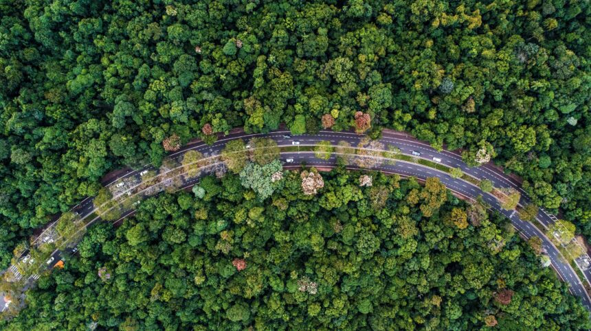 Maringá lidera em vias com arborização e rampas para cadeirantes, mostra IBGE