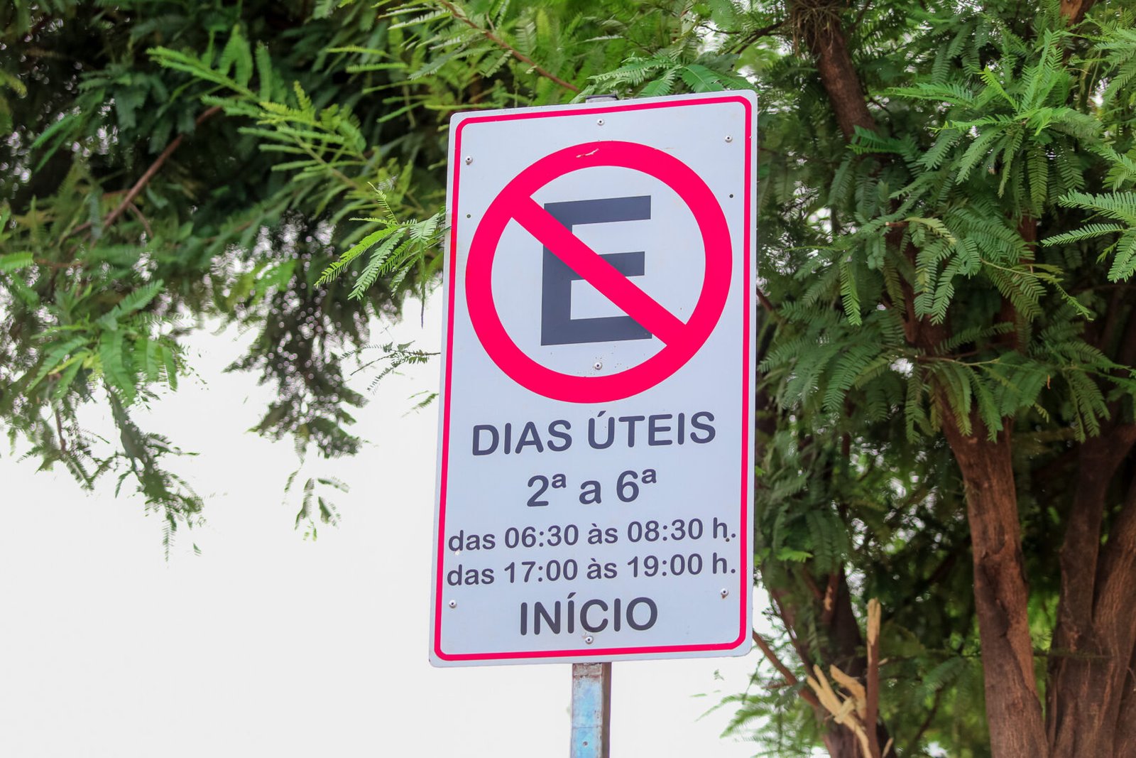 Neste ano, a Secretaria de Mobilidade Urbana já implantou a terceira faixa em outras avenidas da cidade (Crédito: Rafael Macri / PMM)