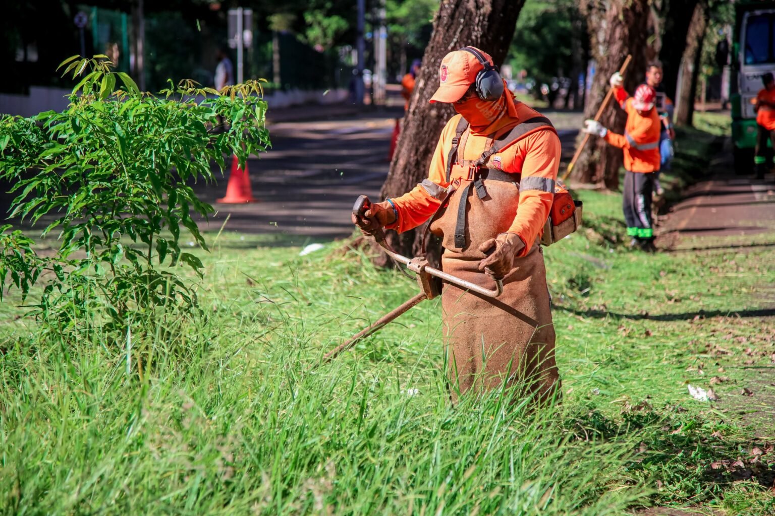 serviços de roçada