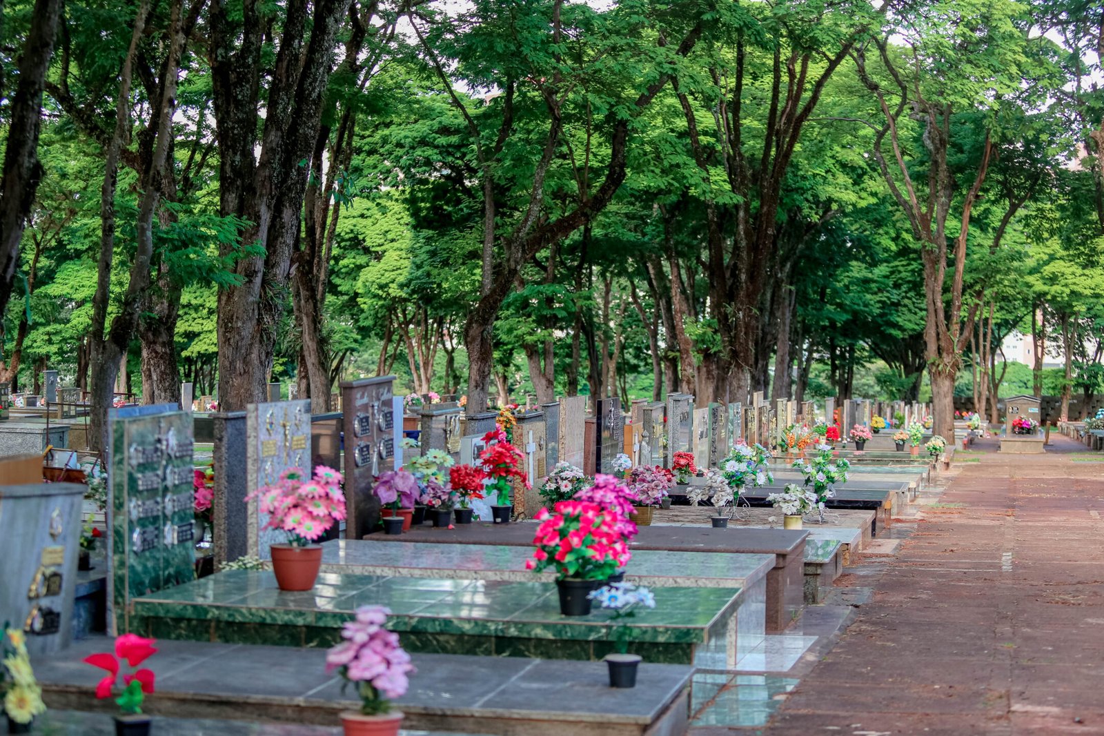 Furto em túmulos pode virar crime com punição pesada em Maringá