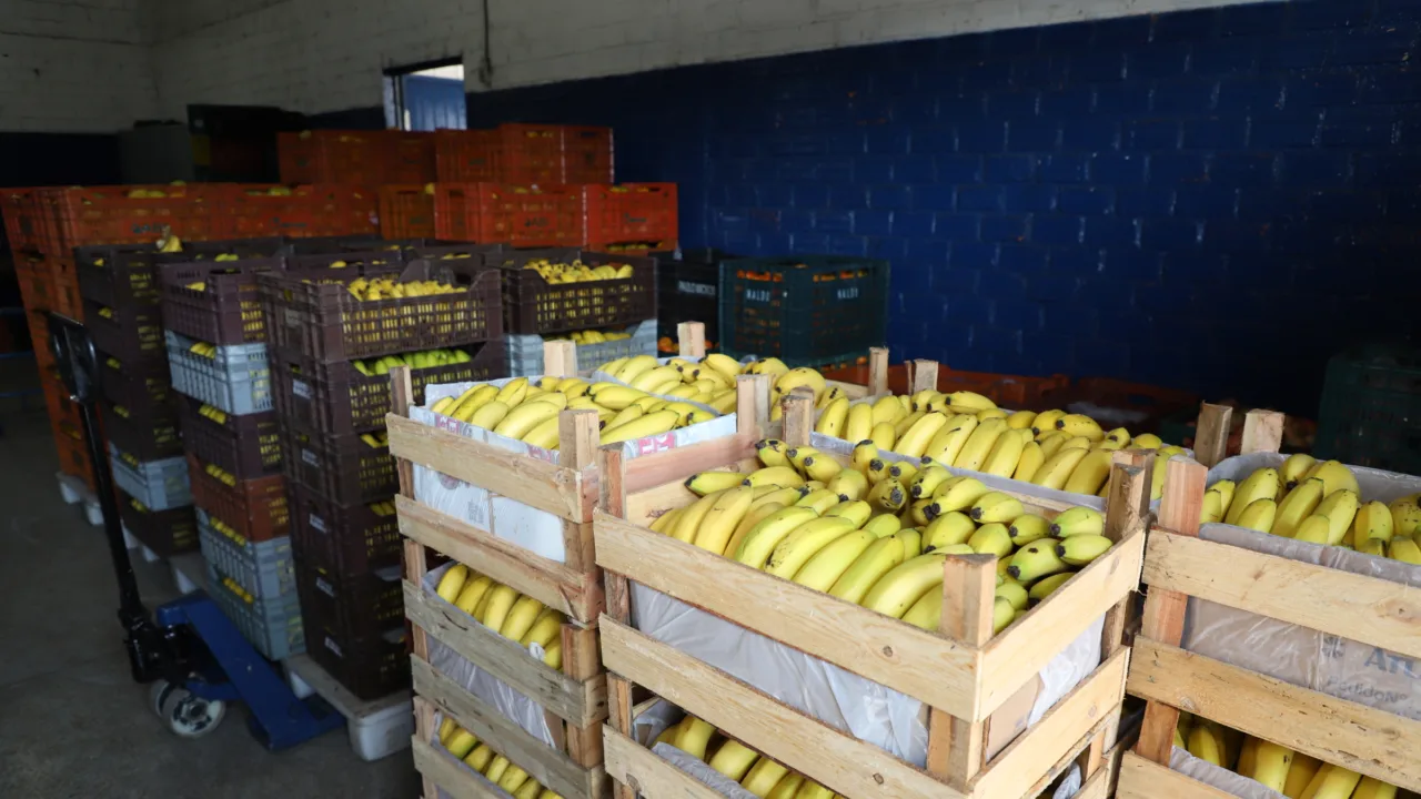 Preços de alimentos e bebidas caem em todas as regiões do Paraná em novembro