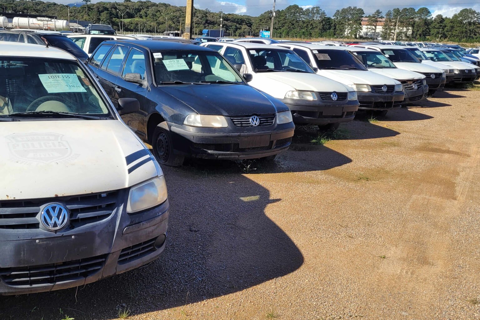 Leilão com 306 veículos